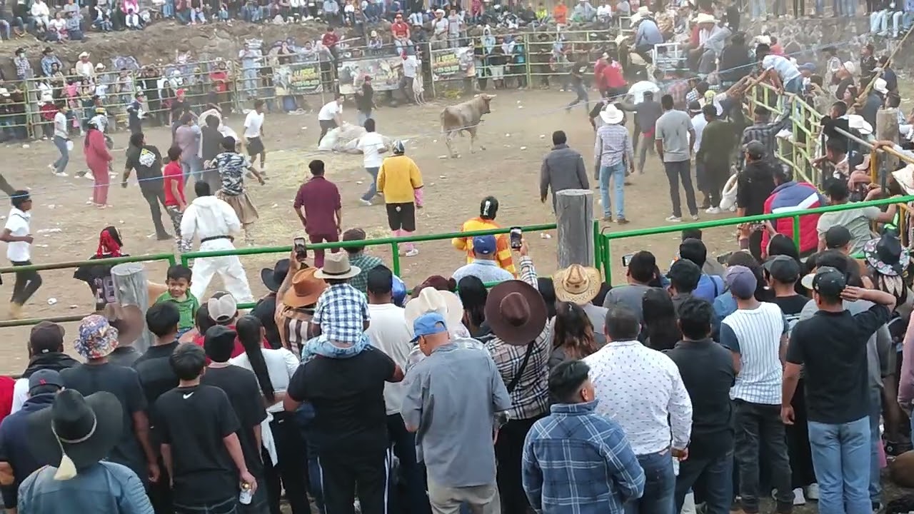 Carnaval Tzurumutaro 2025 Rellenos 02/03/2025