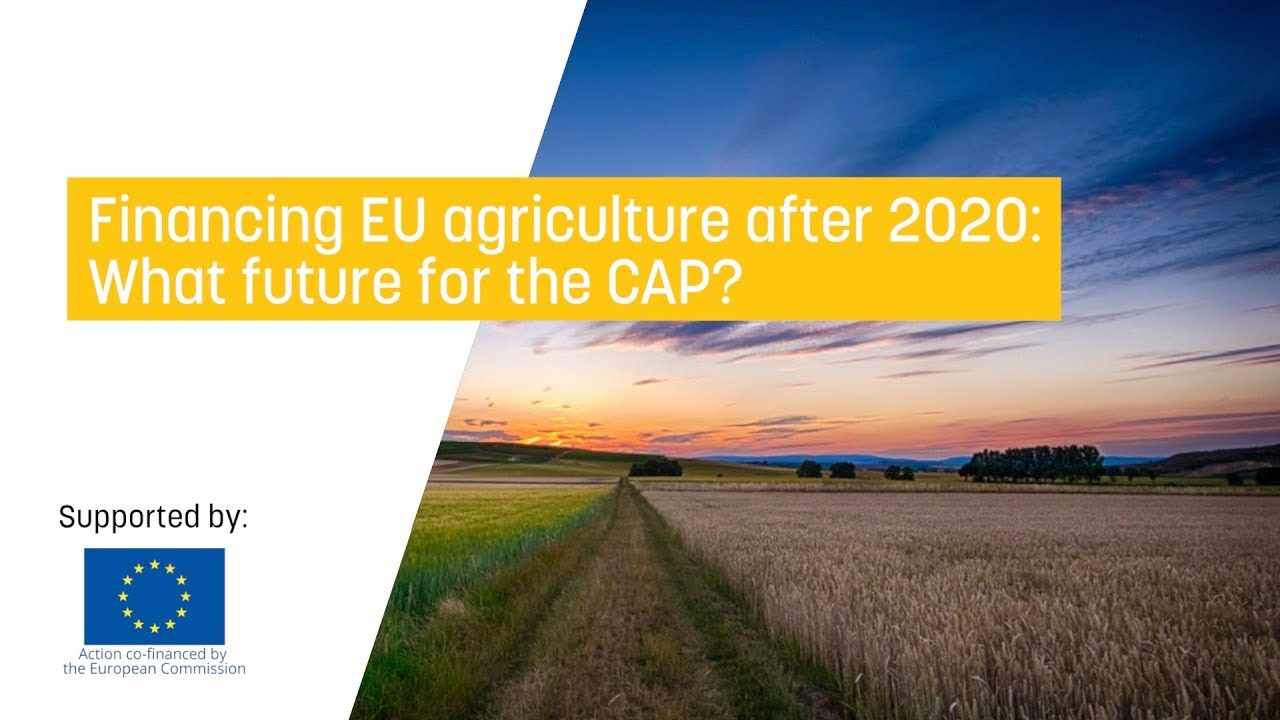 Financing EU agriculture after 2020: What future for the CAP?