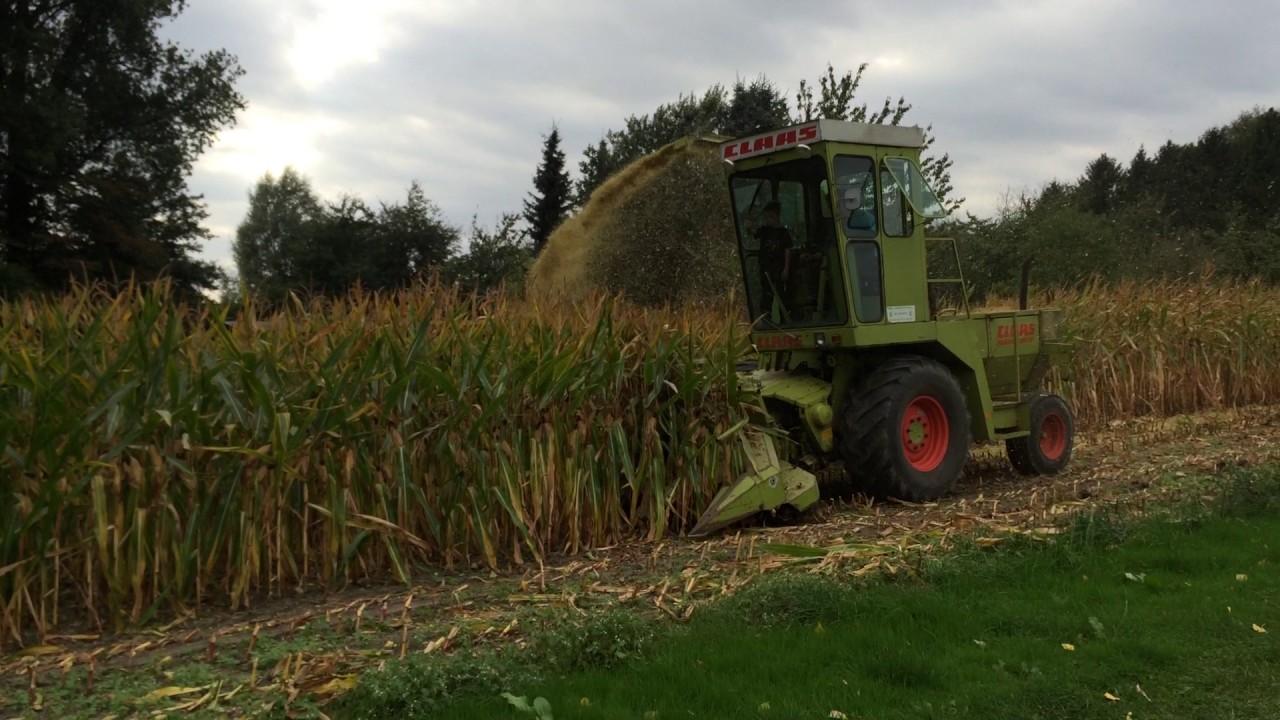 Claas Jaguar 80 SF