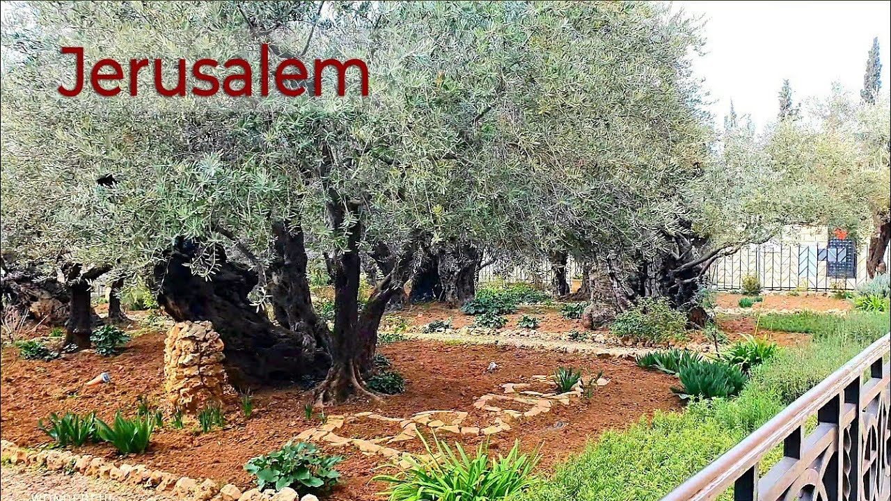 Jerusalem, Walk from the Muslim Quarter to the Garden of Gethsemane, Israel