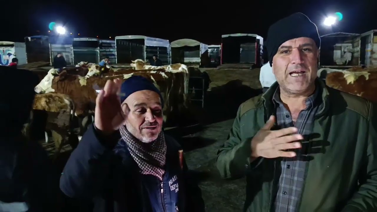 SORGUN CANLI HAYVAN PAZARI .!!! 12ŞUBAT PERŞEMBE 1.bölüm #YOZGAT 
