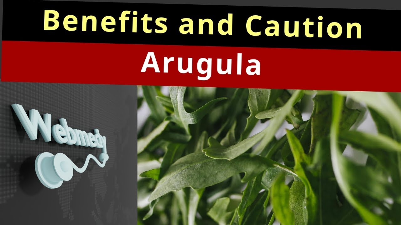 Careful about this when taking Arugula | Top 10 Health Benefits of Arugula | Arugula Salad