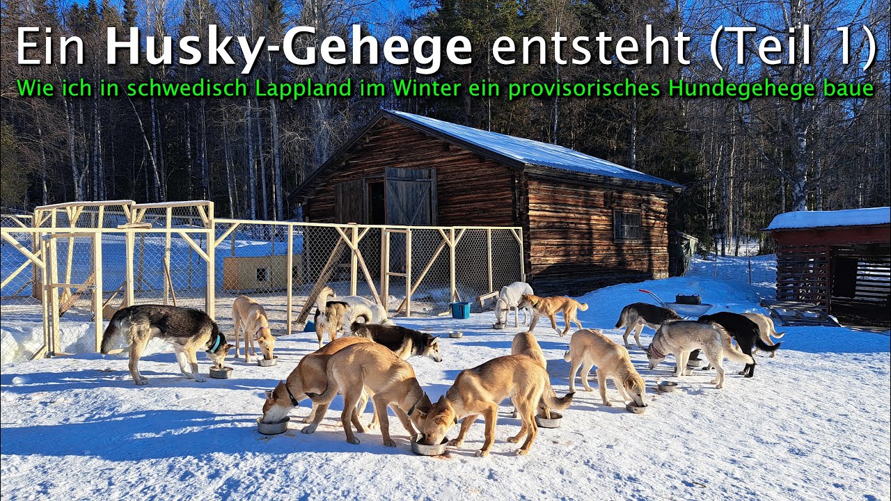 Ein Husky-Gehege entsteht in schwedisch Lappland (Teil 1)