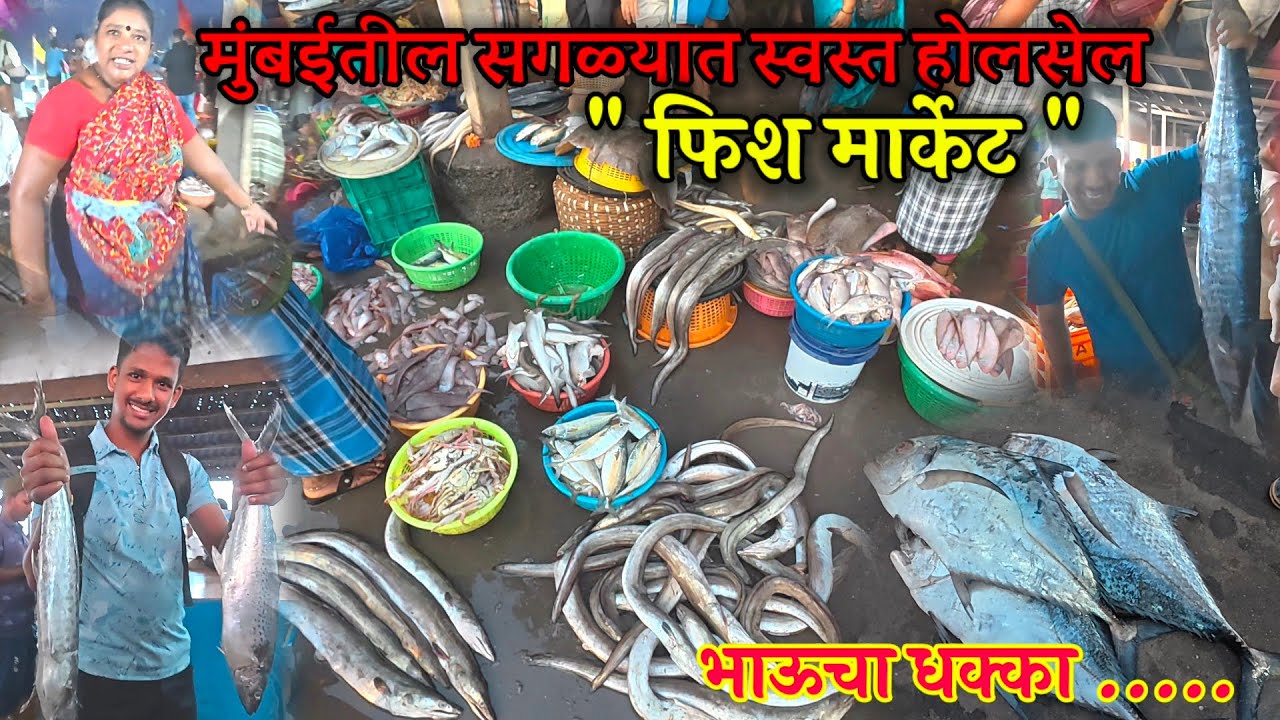 bhaucha dhakka fish market latest video | Lowest price fish market In mumbai 2025 | भाऊचा धक्का 