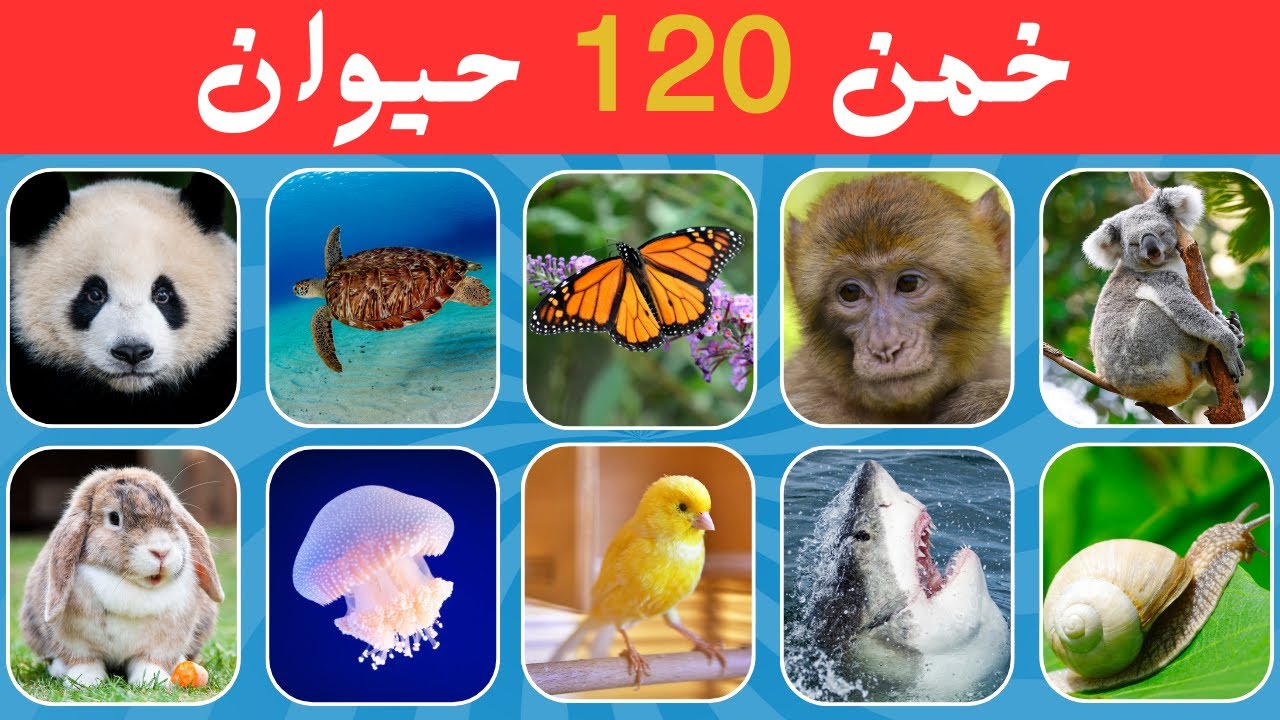 خمن اسم الحيوان في 3 ثواني 🐾 | سهل، متوسط، صعب | ألغاز للاذكياء💡
