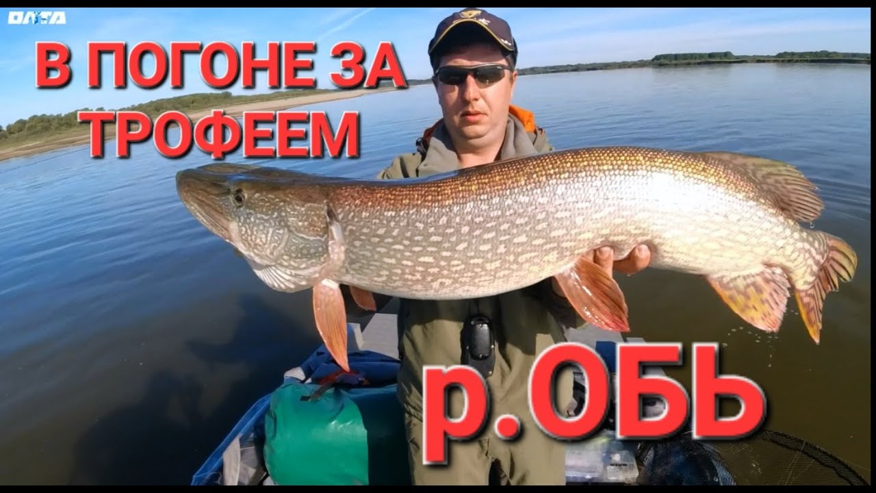 В погоне за трофеями. Сентябрь, р.Обь. ОЛТА ТОМАГАВК.