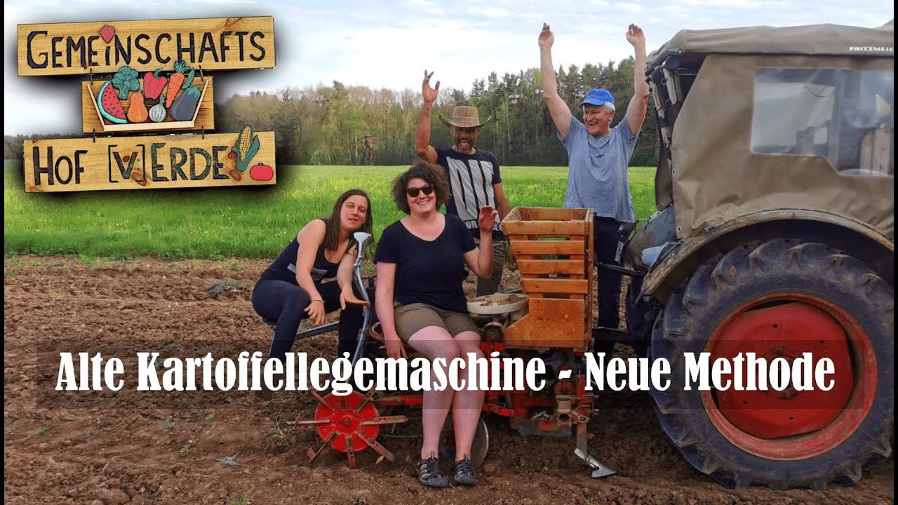 Mischkultur mit alter Kartoffellegemaschine? (Kartoffel, Bohne & Spinat)