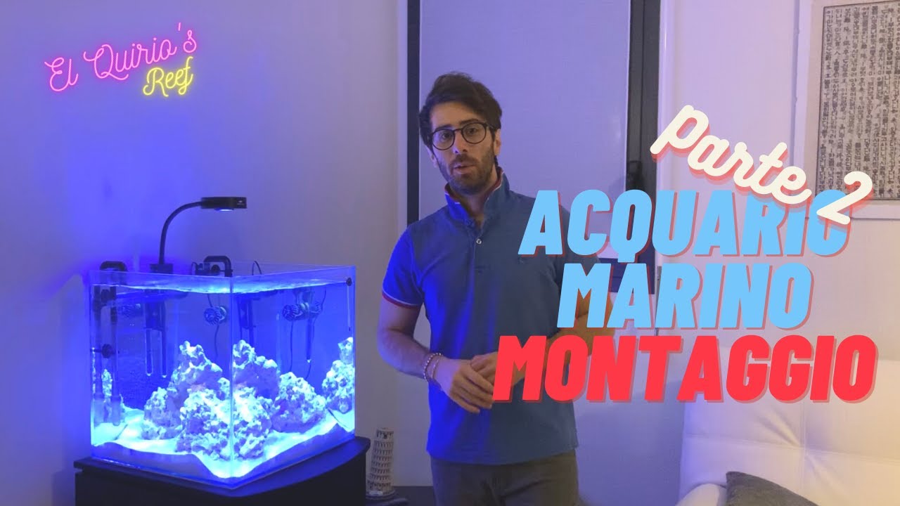 #2 Come allestire un acquario marino - Parte 2 - Filtro e supporto