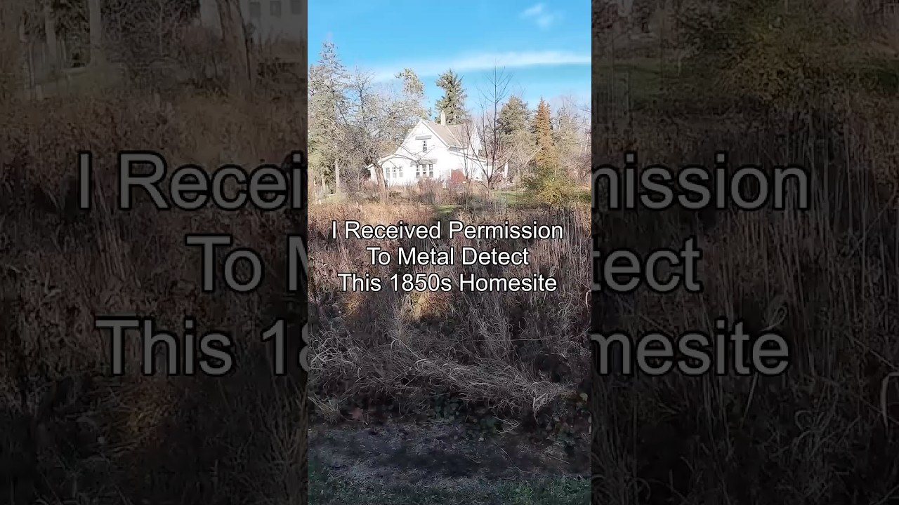 Что я обнаружил благодаря этому недавнему разрешению? #metaldetecting #xpdeus
