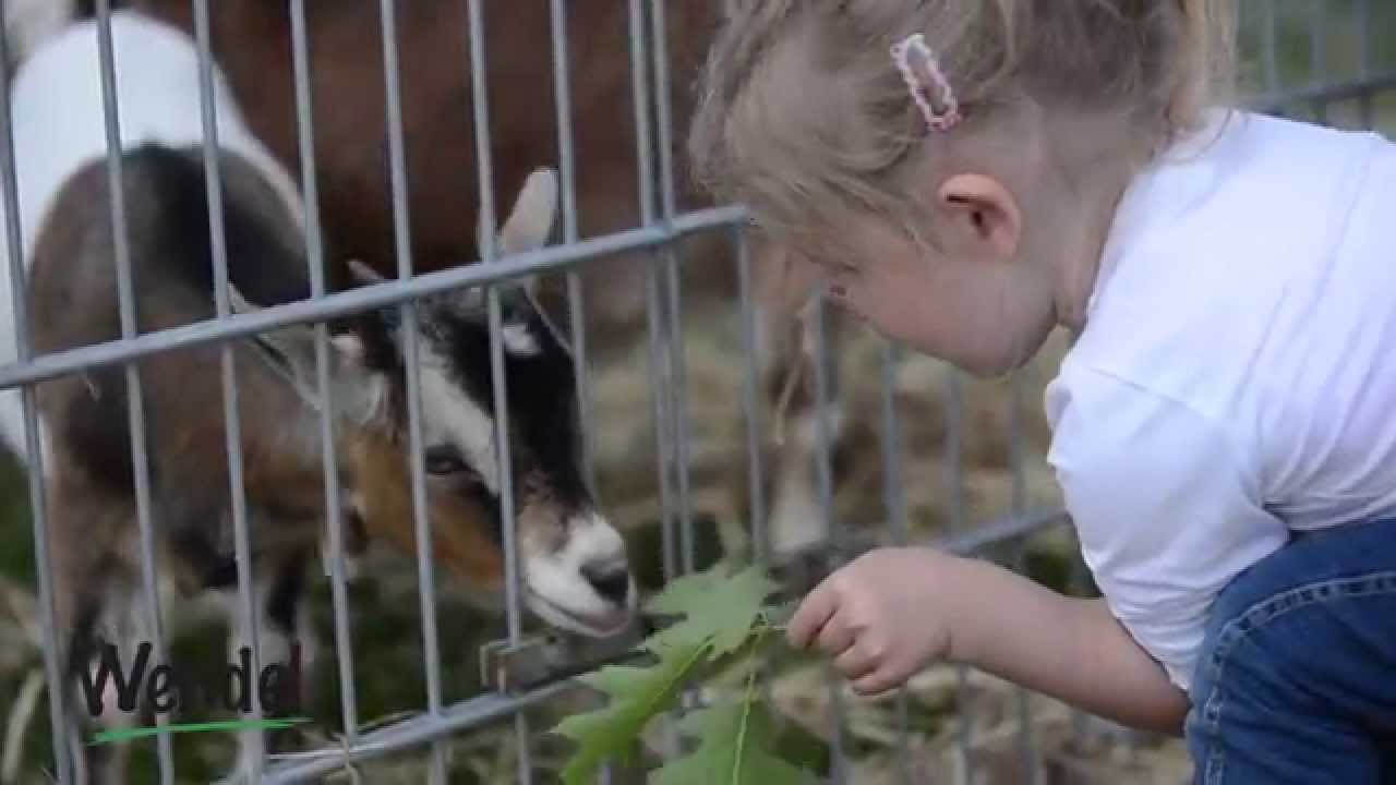 [Hoffest] Spargelhof Wendel in Zwingenberg