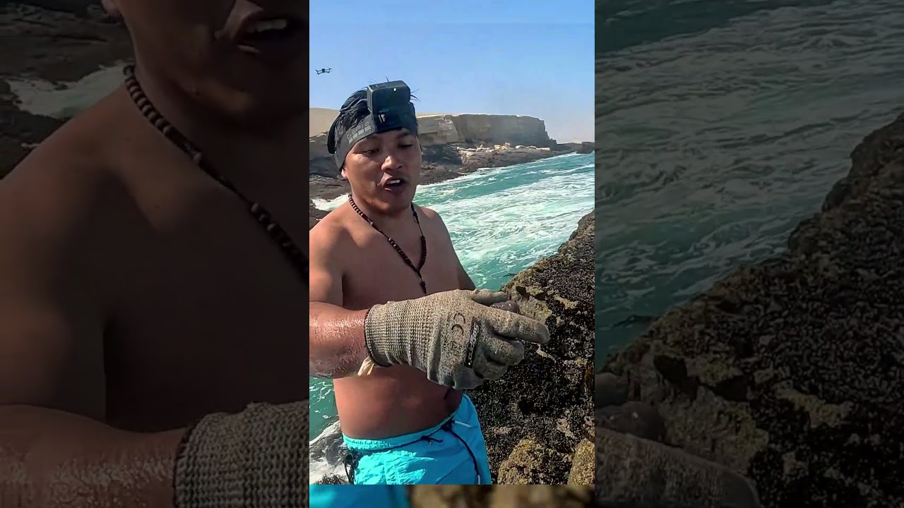 AS&Iacute; se ATRAPAN A LOS PECES PEJESAPOS