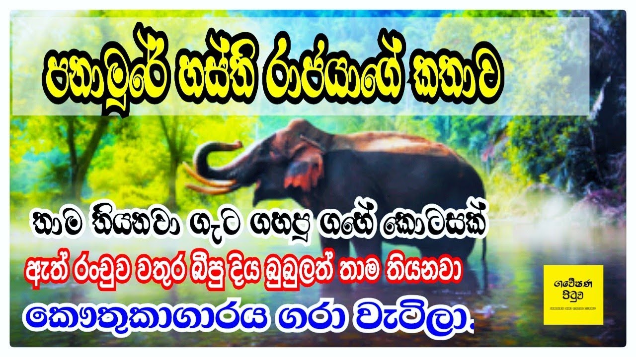පනාමුරේ හස්ති රාජයාගේ කතා පුවත සහ අද එම ස්ථානයේ තත්වය සහිත වාර්තාමය වැඩසටහන #gaweshana pituwa #viral