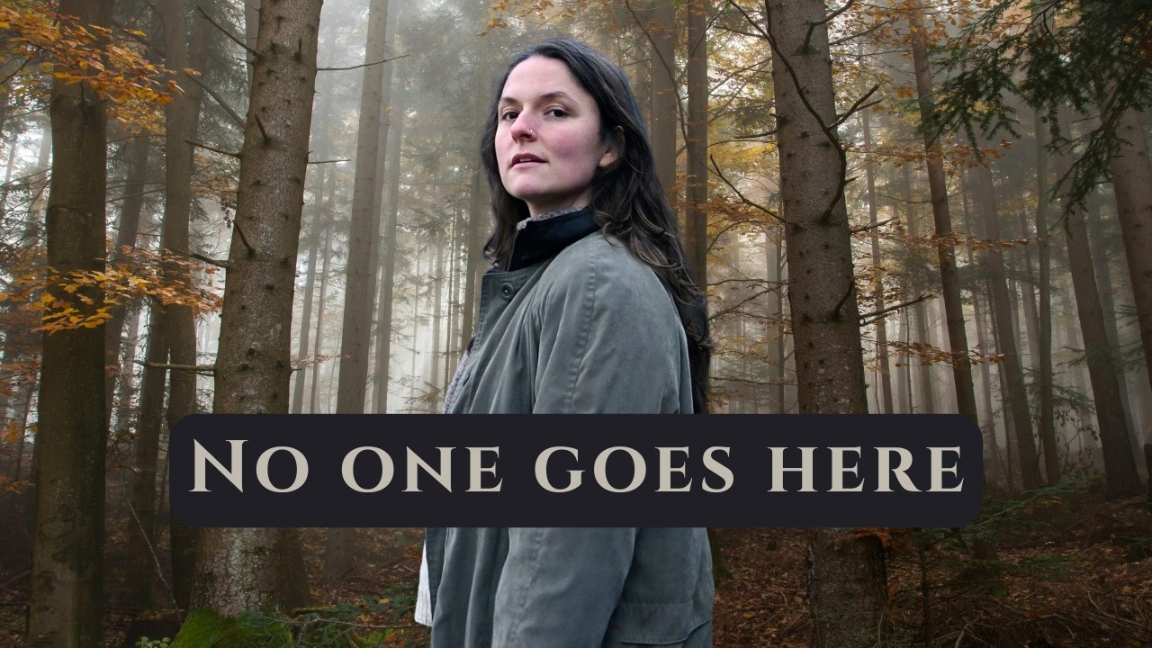 Внутри самого загадочного леса Норвегии – наше путешествие в Финнскоген.