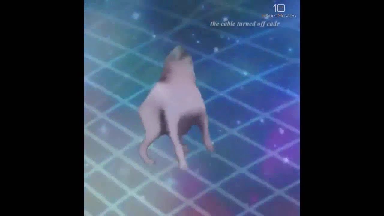 DANCE TILL YOU'RE DEAD ORIGINAL