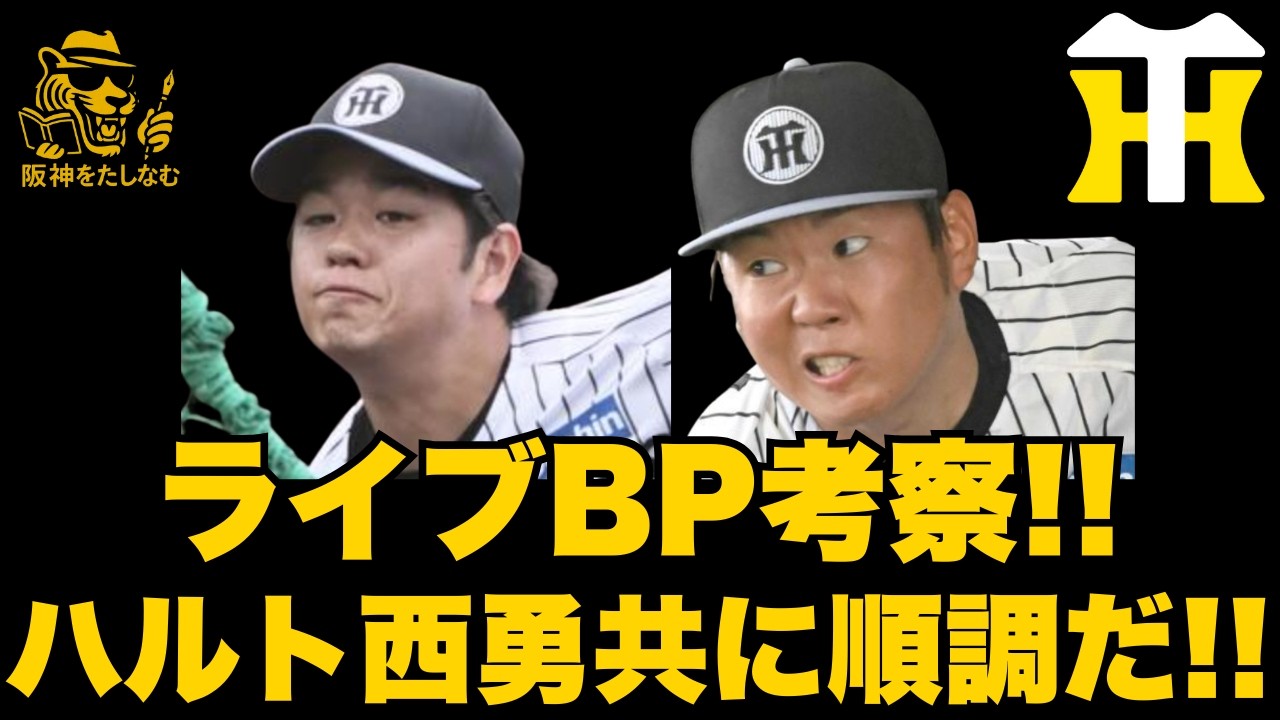 【キャンプ考察2/15🔥】高橋遥、西勇がライブBPに登板‼️この二人がイニングを稼いでくれるととてつもなく大きい‼️  #阪神タイガース＃阪神タイガースたしなむ#阪神キャンプ2/15＃高橋遥人#西勇輝