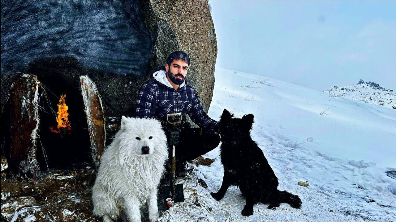 Survive From Freezing Mountains