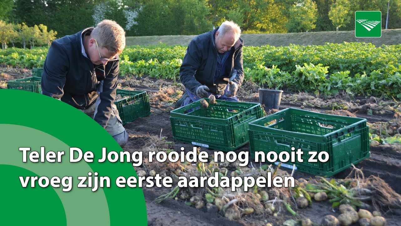 Teler De Jong rooide nog nooit zo vroeg zijn eerste aardappelen