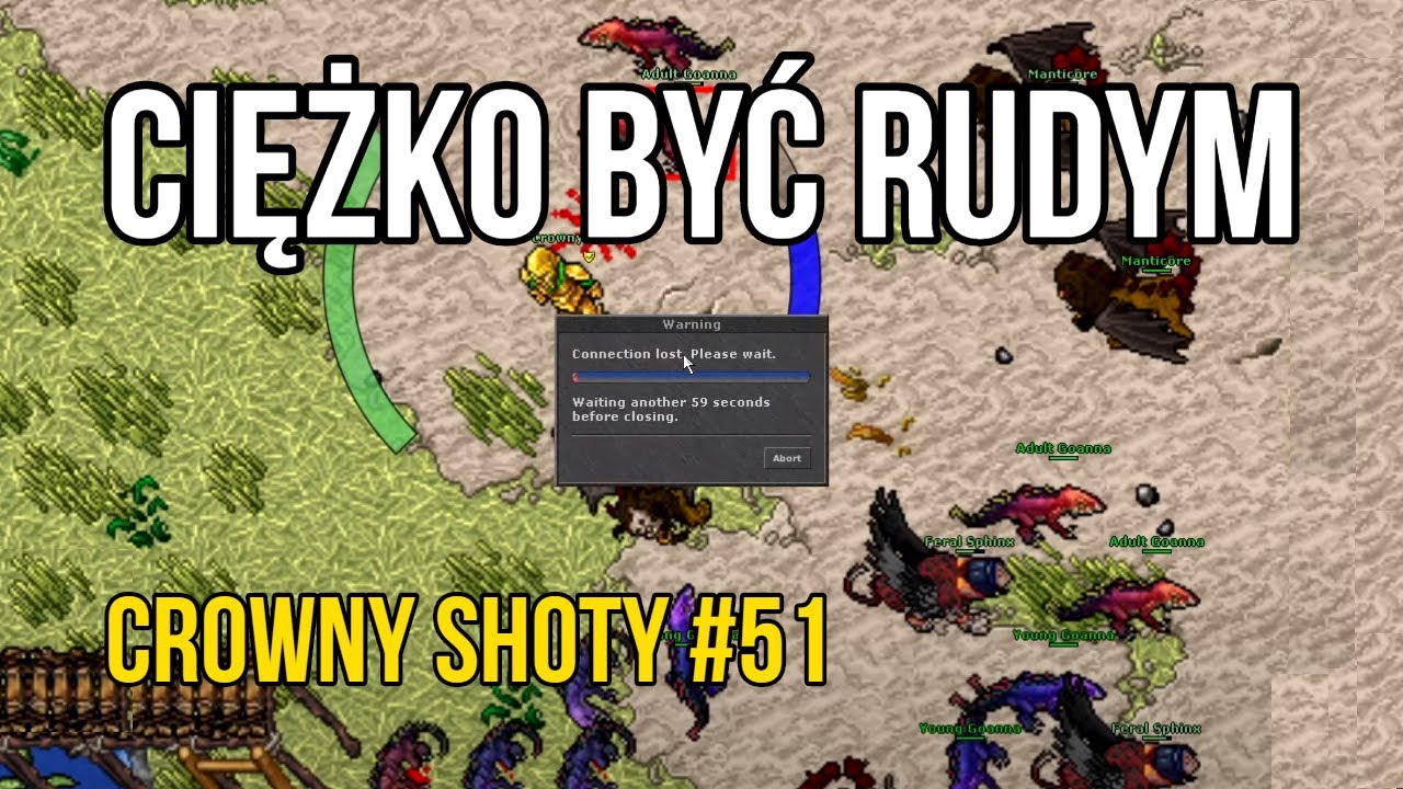 #51 Rudy Crowny | Crowny Shoty | Tibia Damora