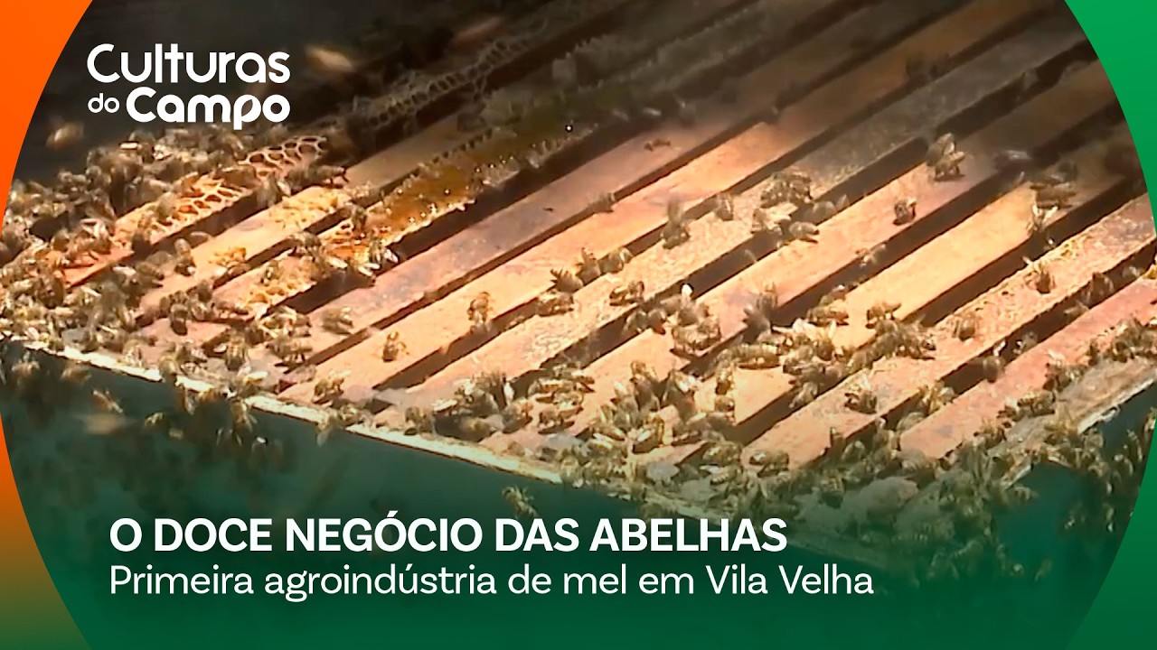 Apiário familiar vira agroindústria de mel certificada