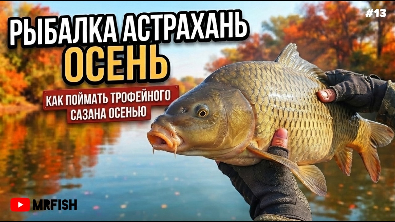 АСТРАХАНЬ РЫБАЛКА ОСЕНЬ 2025.