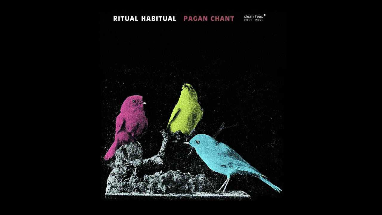 Ritual Habitual 