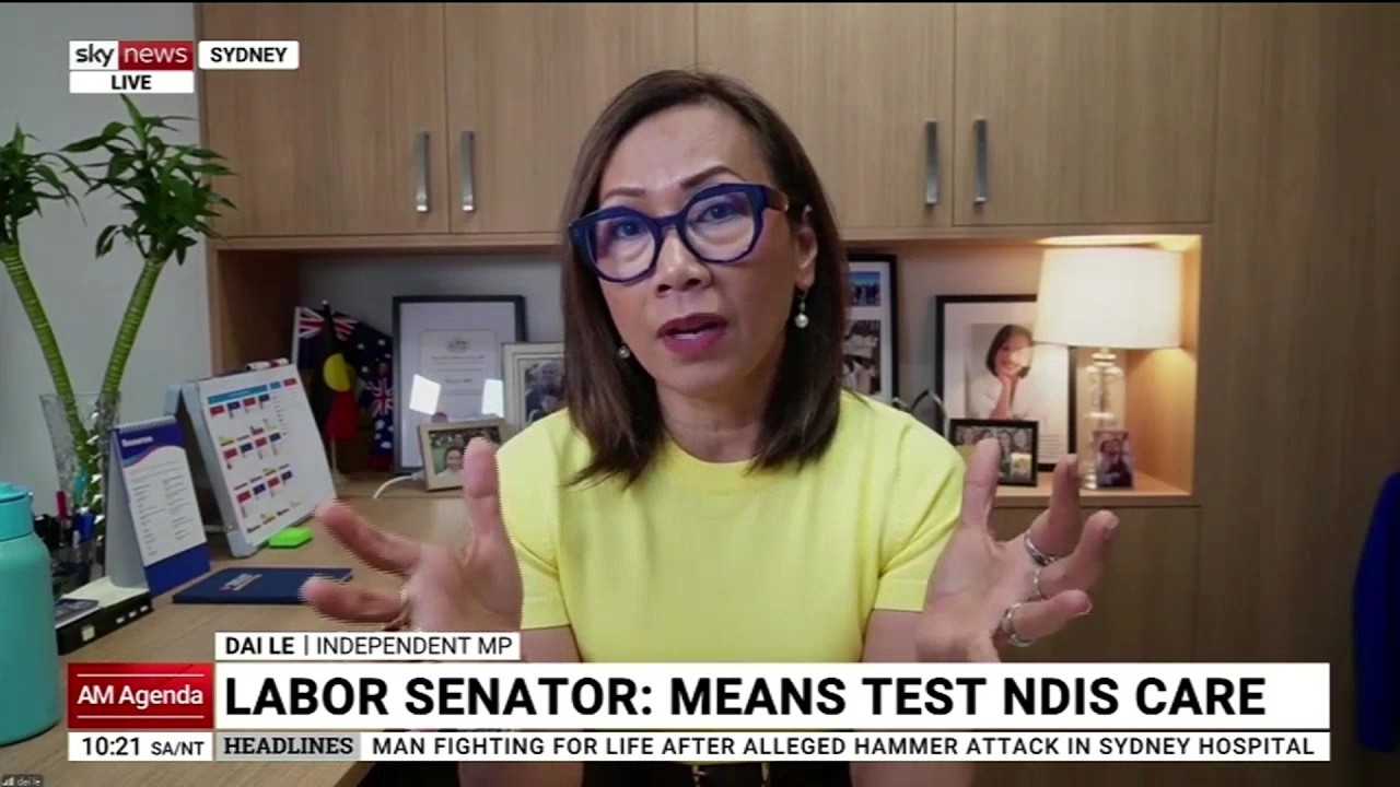 NDIS Spending and Integrity Concerns Over $52 Billion Scheme