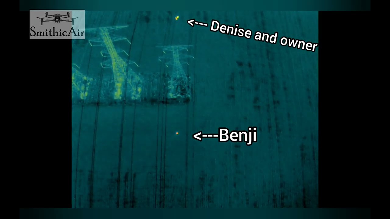Benji found multiple times and finally home safe after 4 nights in the brutal cold weather