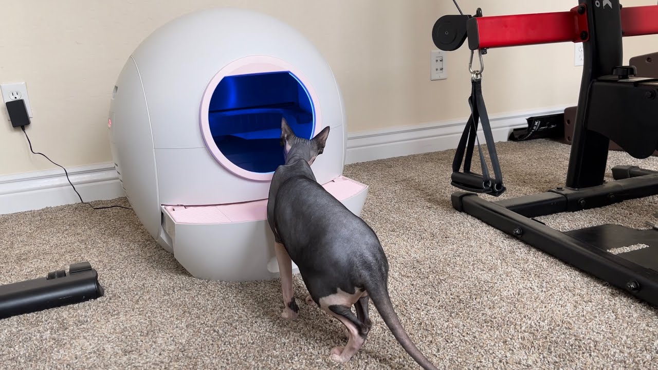 Обзор самоочищающегося кошачьего туалета ELS PET на Amazon