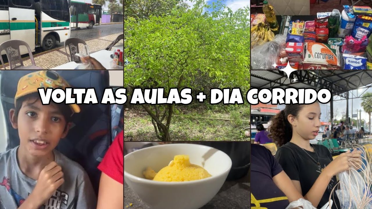 Rotina Real 🏡volta as Aulas|Comprinhas Reposição|Fomos de ônibus gratuito 🚌 #rotinadodia  #interior 