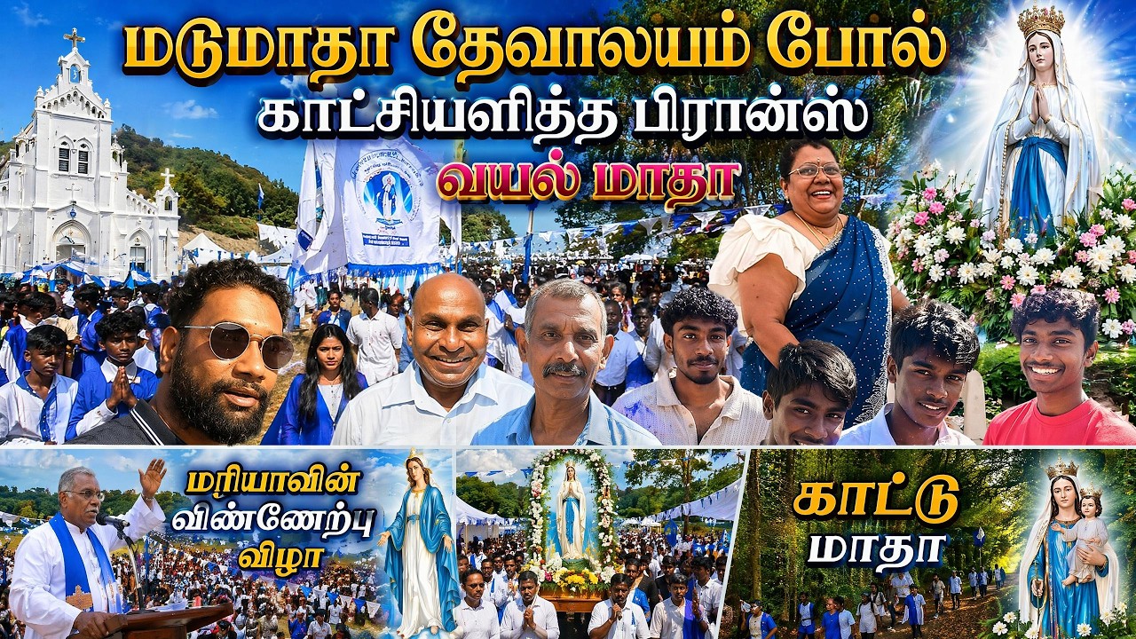 மடுமாதா தேவாலயம் போல் காட்சியளித்த பிரான்ஸ் வயல் மாதா | மரியாவின் விண்ணேற்பு விழா ✨🇫🇷 | காட்டு மாதா