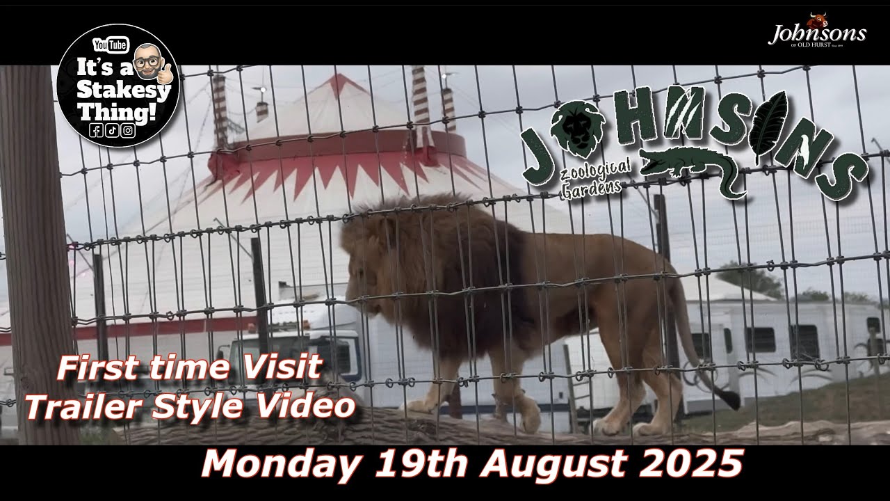 Johnsons of Old Hurst Zoo, First time visit, Trailer Style Video, Tuesday 19th August 2025 