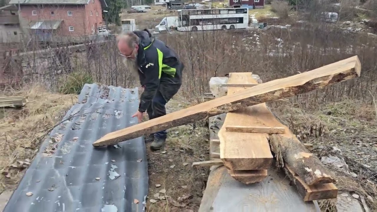 Oidentifirat träd till salu 