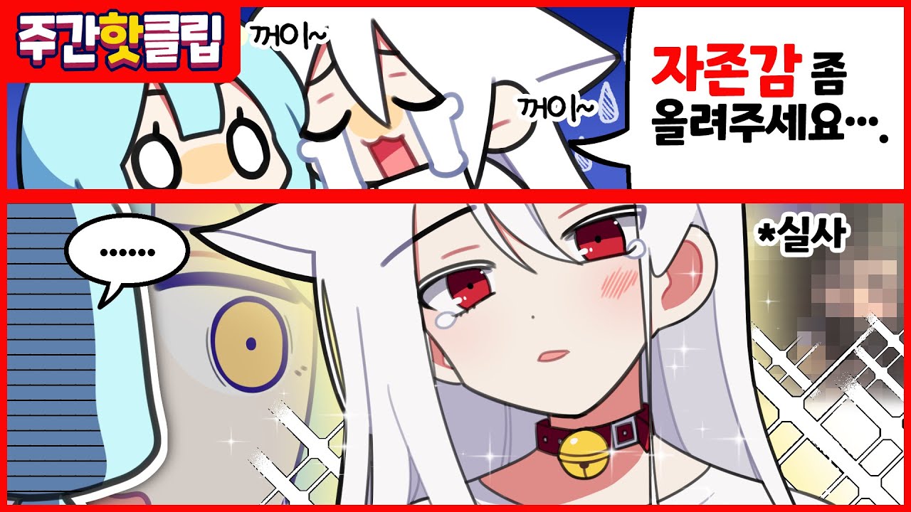 『견자희』2022년도 8월 4주차 주간핫클립!
