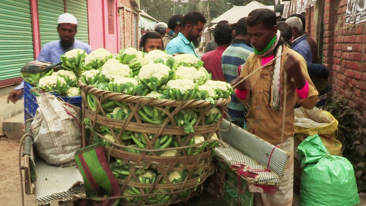 রায়গঞ্জের ধানগড়া হাট || @PanoramaDocumentary