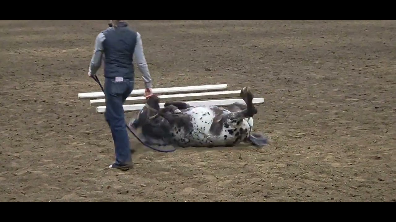 Mini having a roll 