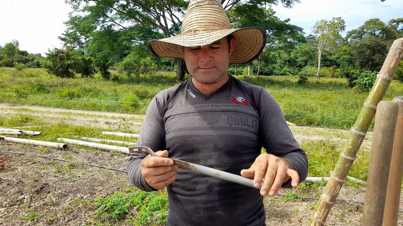 Cultivo de maracuya, metodo facil para templar el alambre.