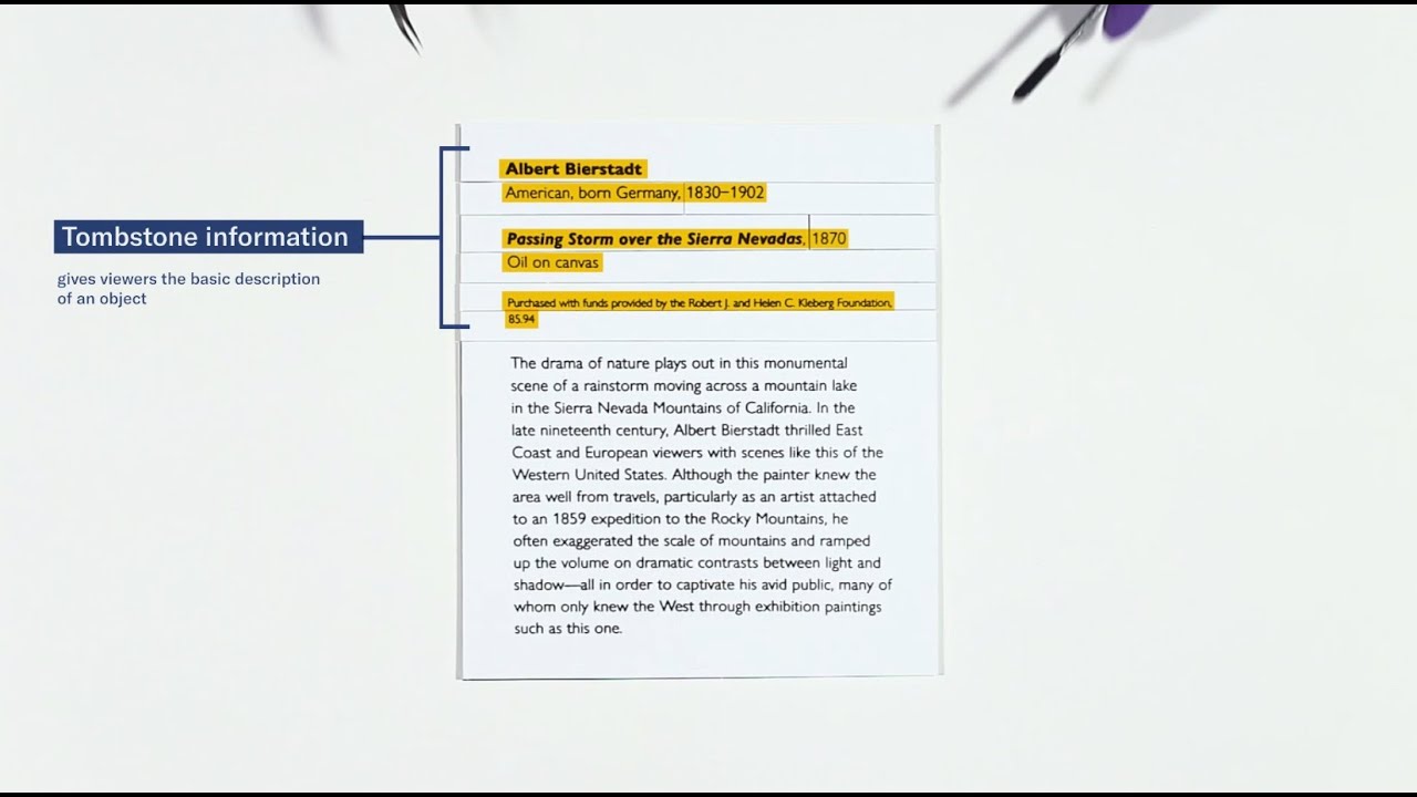 Anatomy of a Museum Label