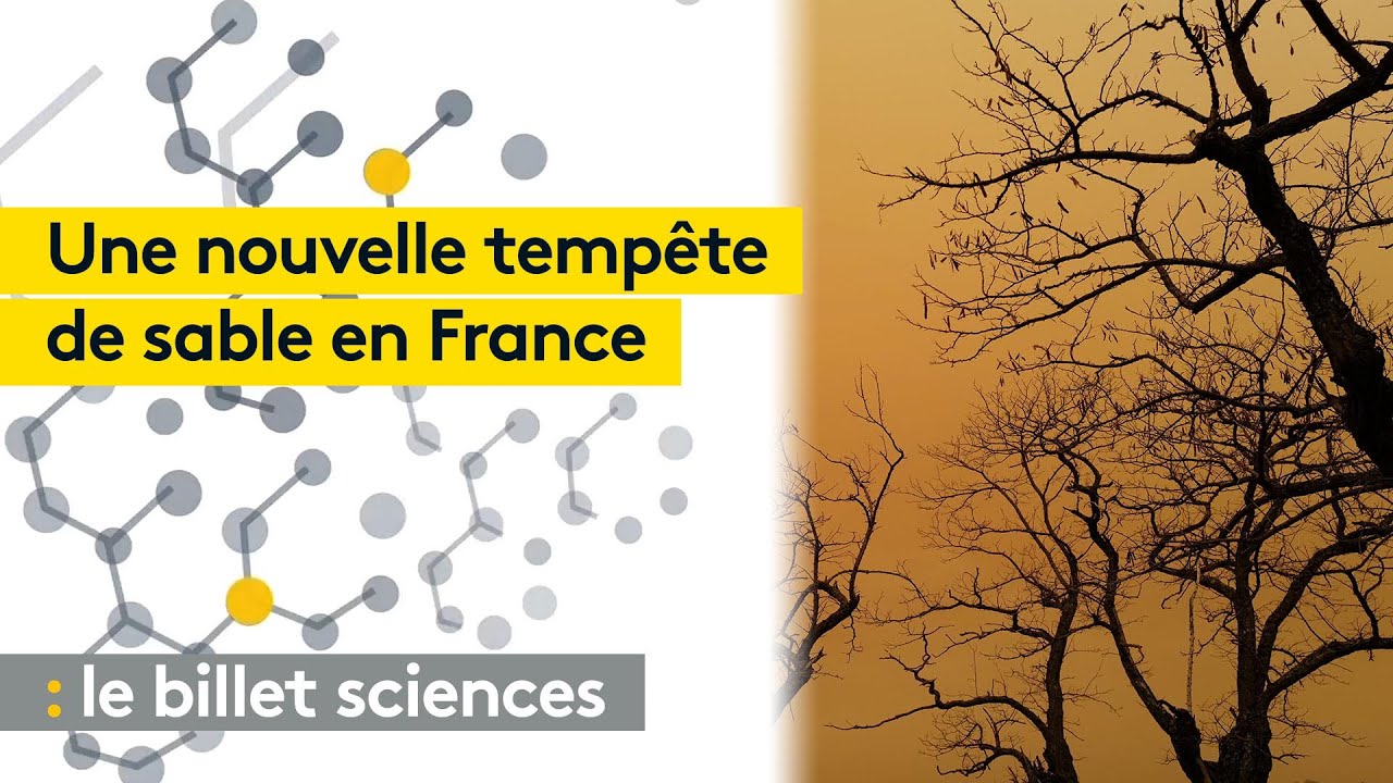 Un deuxième nuage de sable du Sahara traverse la France