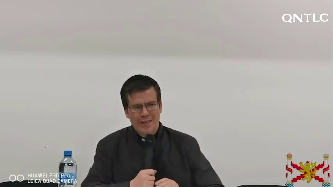 P  Federico Highton S.E. La Cristiandad y sus enemigos.