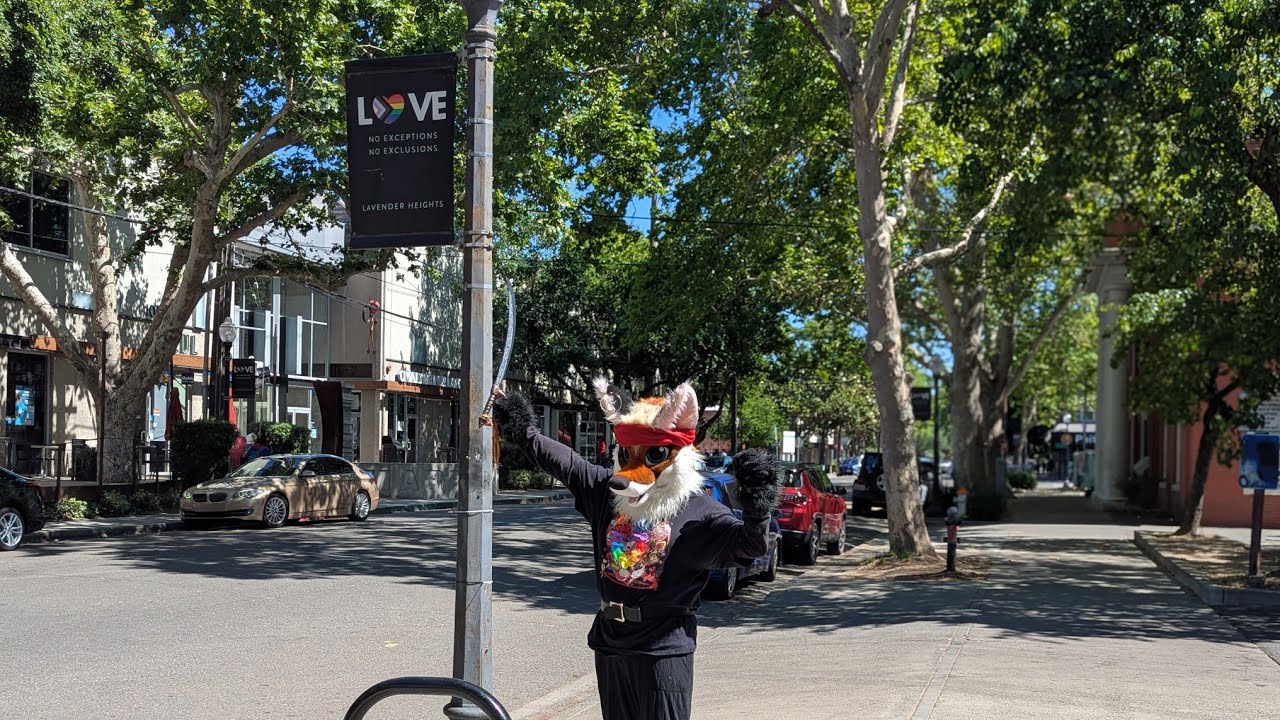 Have a foxy Pride! #pride #pridemonth  #fox #fursuiter  #rainbow #holiday
