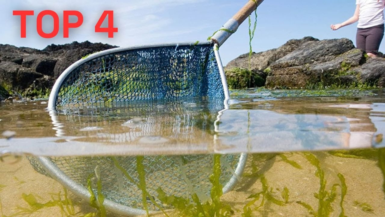 Top 4 : Meilleures Epuisettes Pêches 2023