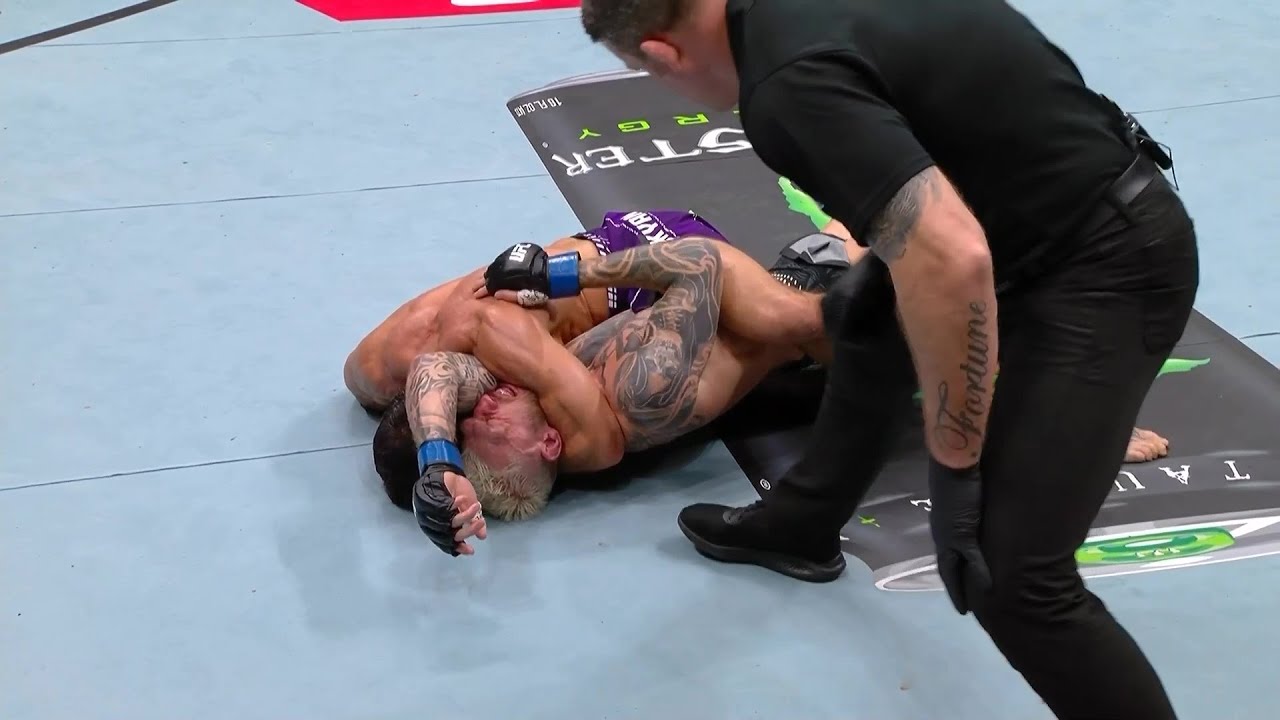 Лучшие моменты турнира UFC Катар: Царукян vs Хукер