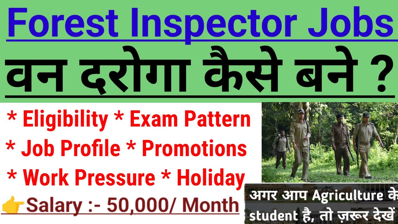 What is a Forest Inspector? How to Become a Forester? Forest Inspector Job Profile