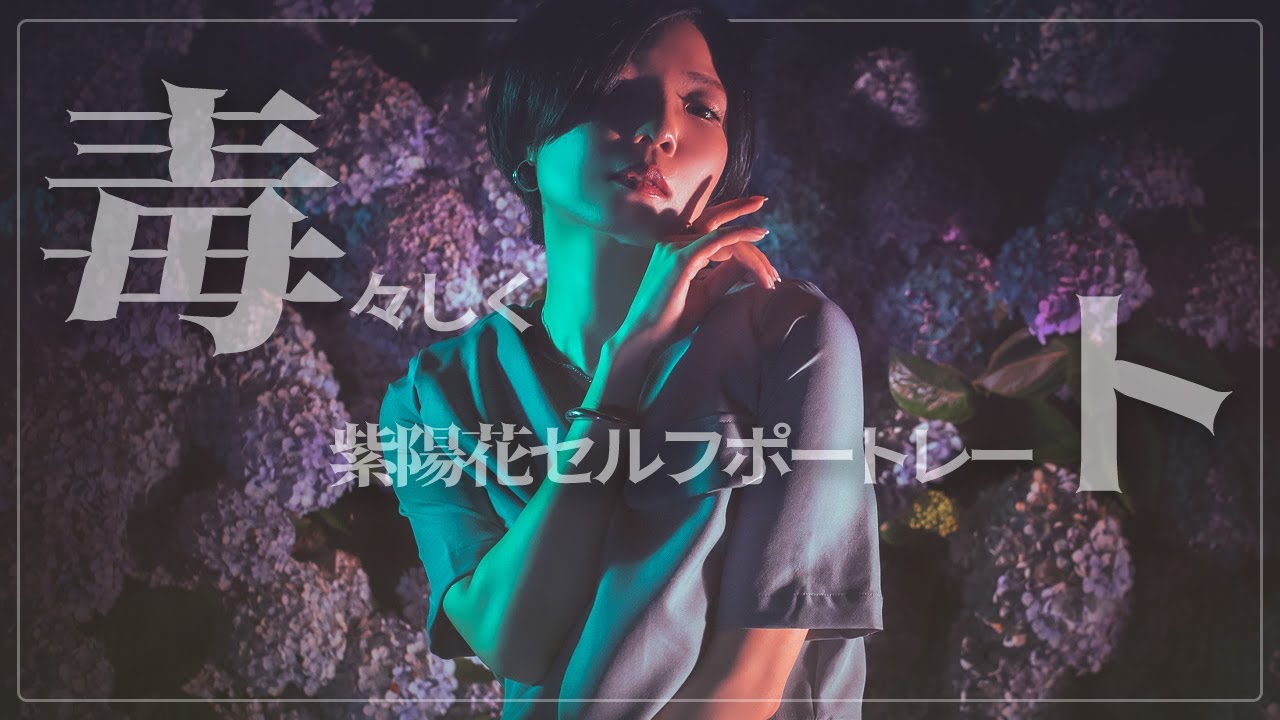 夜に紫陽花セルフポートレート