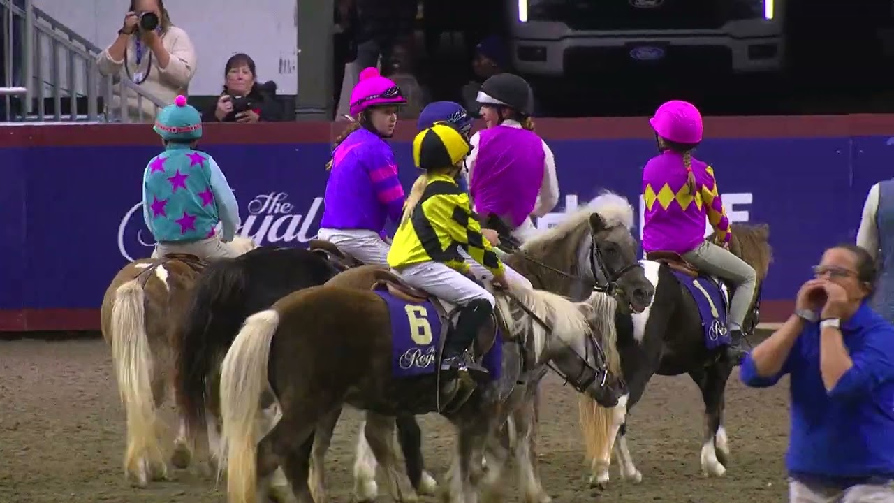 Гонки на шетландских пони на #RAWF103