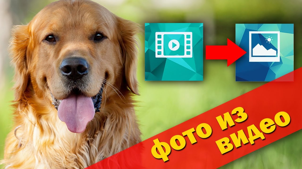 Фото из видео в Фотошопе. Создаем коллекцию фото из видео в Photoshop