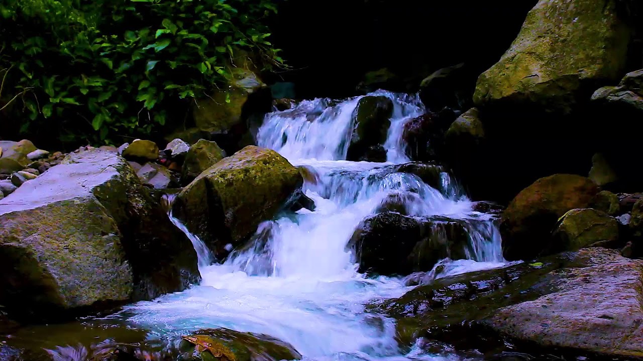 Gentle Forest Stream Flow | Relaxing Mountain Water for Rest