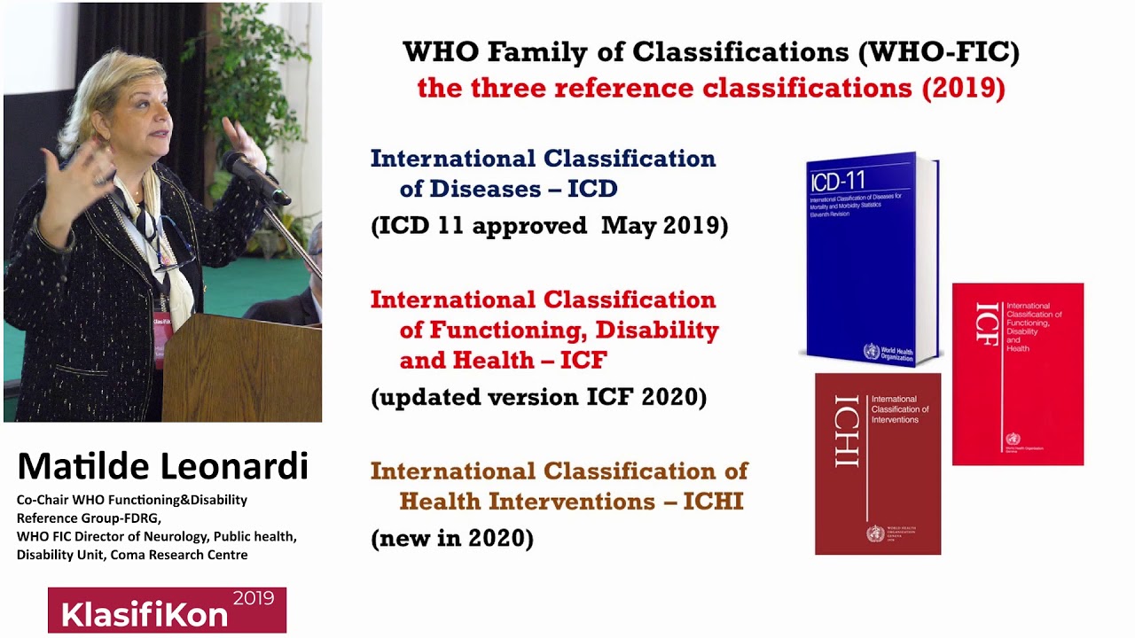 Matilde Leonardi: Worldwide Experience in the ICF Implementation