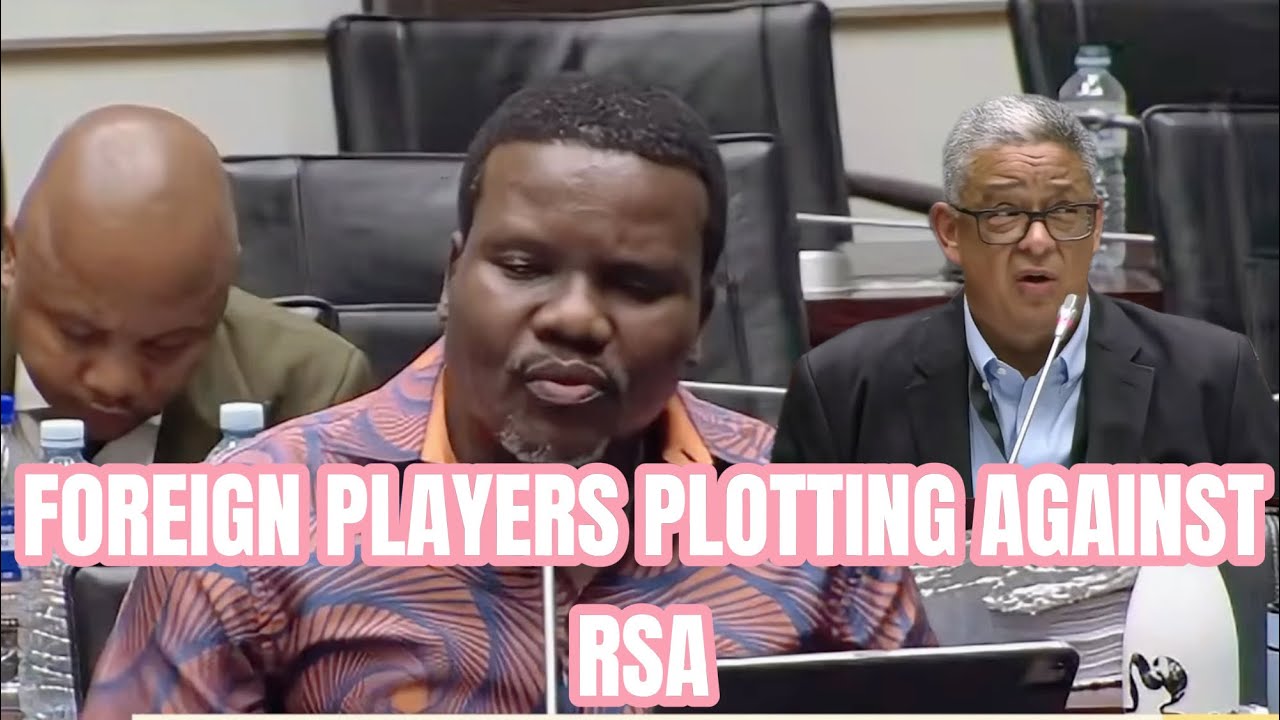 ANC NTULI VS MCBRIDE - IPID LONG INFILTRATED BY CRIME INTELLIGENCE AND MKWANAZI FRIENDS