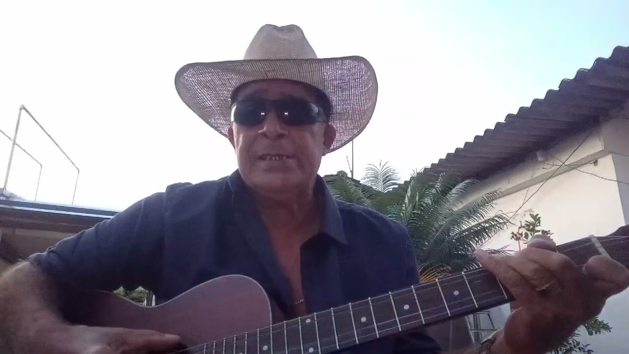 Amigo fiel Pardinho e pardal 